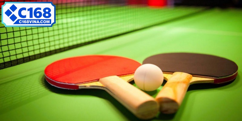 Cá cược bóng bàn là hình thức người chơi dự đoán kết quả của các trận bóng bàn