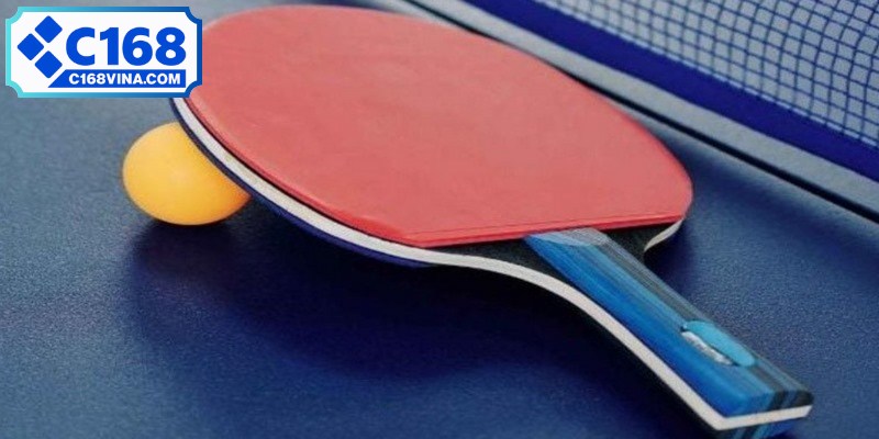 Các loại kèo trong cá cược bóng bàn được thiết kế linh hoạt