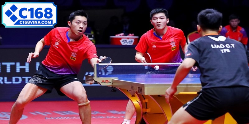 Cá cược bóng bàn có nhịp độ nhanh, chỉ một set đấu ngắn nên phải phân tích kỹ