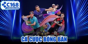 Cá Cược Bóng Bàn