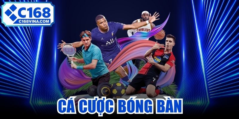 Cá Cược Bóng Bàn