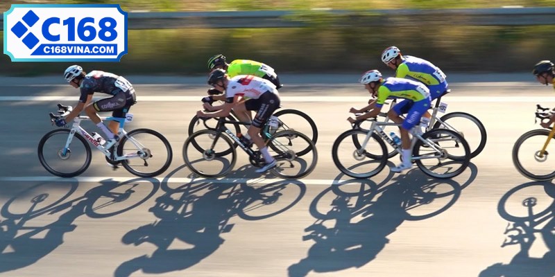 Hình thức cá cược đua xe này đòi hỏi khả năng phân tích cao 