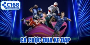 Cá Cược Đua Xe Đạp