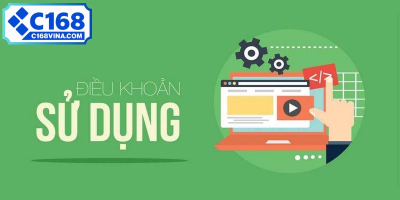 Lưu ý khi đọc và chấp nhận bộ điều khoản sử dụng