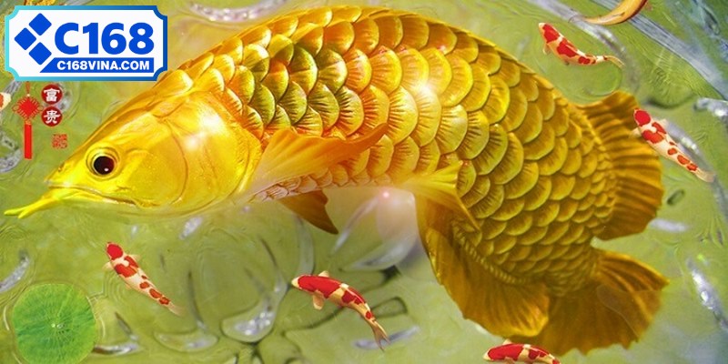 Giấc mơ thấy cá thường tượng trưng cho sự may mắn, giàu sang, đổi mới