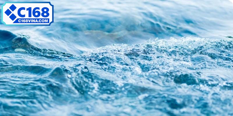 Nằm mơ thấy nước mang nhiều ý nghĩa sâu sắc về cảm xúc, tài lộc