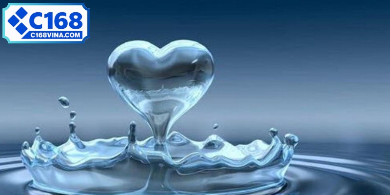 Giấc mơ thấy nước sông thường phản ánh dòng chảy cuộc sống của bạn