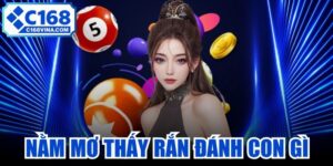 Nằm Mơ Thấy Rắn Đánh Con Gì